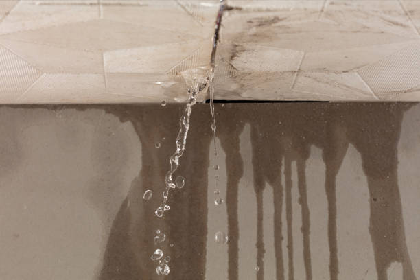 Professional Water Damage Restoration technician working in Newtonville, MA
